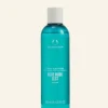 THE BODY SHOP Doccia Gel | Prodotti Corpo-Detergente Corpo & Capelli Blue Musk Zest