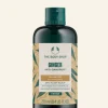 THE BODY SHOP Shampoo | Vedi Tutti Capelli-Shampoo Antiforfora Zenzero