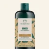 THE BODY SHOP Shampoo | Vedi Tutti Capelli-Shampoo Antiforfora Zenzero
