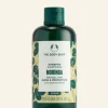 THE BODY SHOP Vedi Tutti Capelli | Shampoo-Shampoo Shine & Protect al Moringa