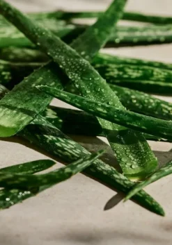 THE BODY SHOP Detergenti E Tonici | Per Tipo Di Prodotto-Tonico Lenitivo Aloe